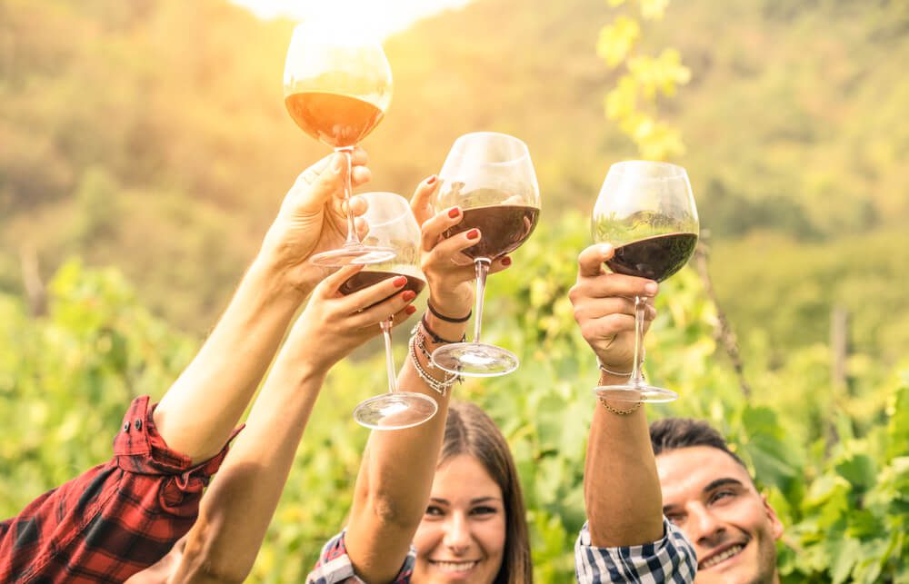 A group enjoying one of the best wine tours in Fredericksburg.