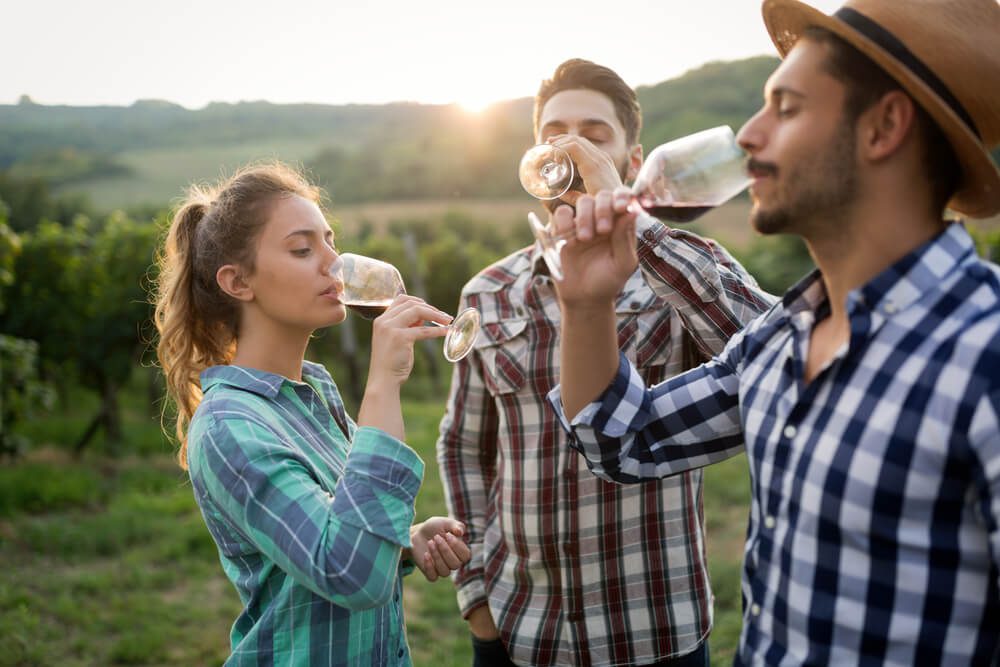 A group sipping on wine at one of the top wineries in Fredericksburg.